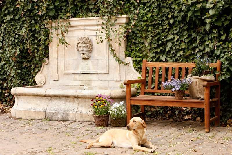 Der Linslerhof - Hotel, Restaurant, Events & Natur Überherrn エクステリア 写真