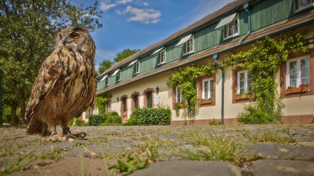 Der Linslerhof - Hotel, Restaurant, Events & Natur Überherrn エクステリア 写真
